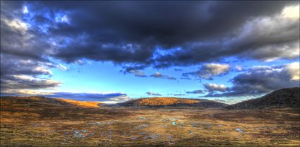 Kosciuszko NP - NSW T (PBH4 00 10879)